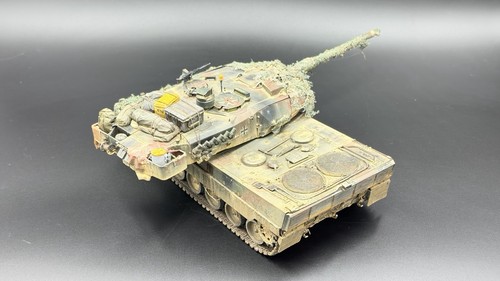 Ryefield scale leopard - 1/35,